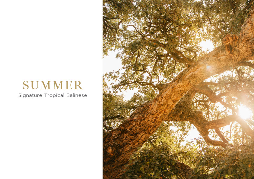 Botanica Summer Zone