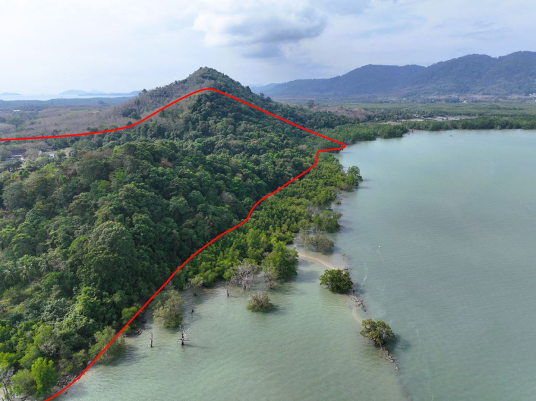 Land For Sale - Pa Khlok, Thalang