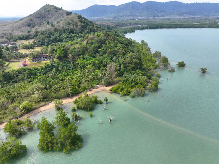 Land For Sale - Pa Khlok, Thalang
