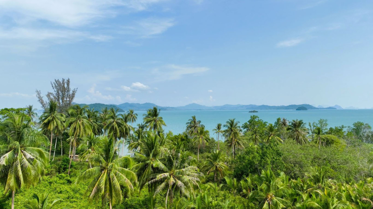 Land For Sale - Pa Khlok, Thalang