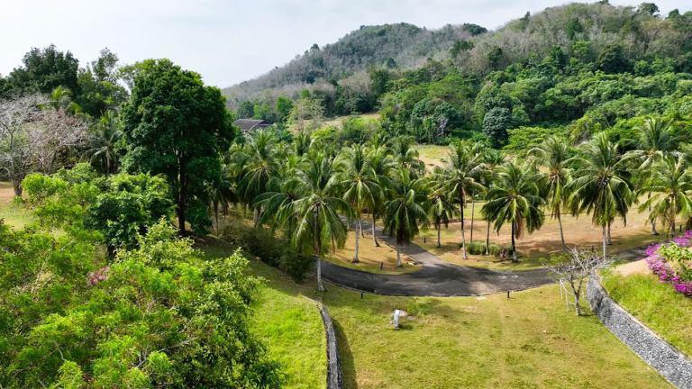 Land For Sale - Pa Khlok, Thalang