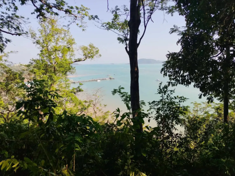 Sea-View Land at Cape Yamu, Phuket – 7.5 Rai