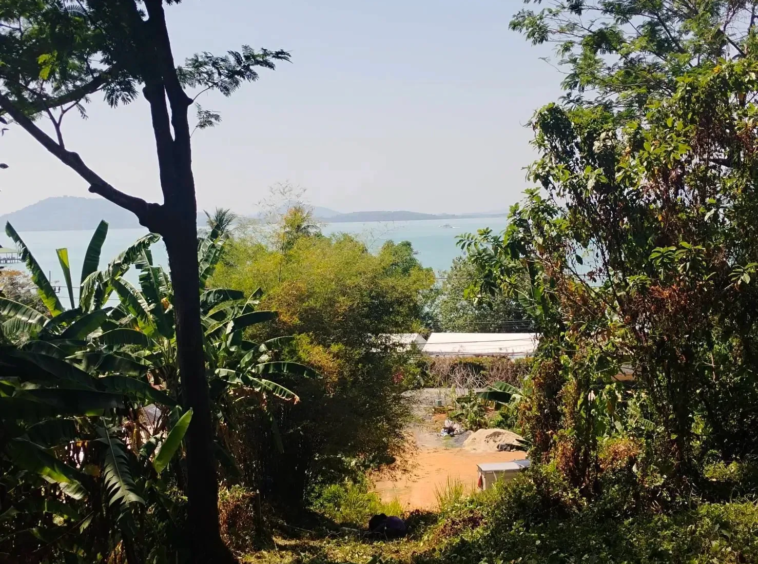 The plot slopes down to the paved road, with the sea and islands beyond, Cape Yamu