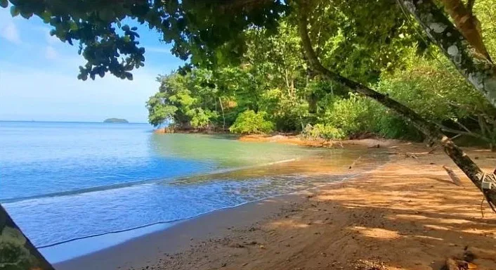 Beachfront Land on Coconut Island, Phuket – 26 Rai — photo 3