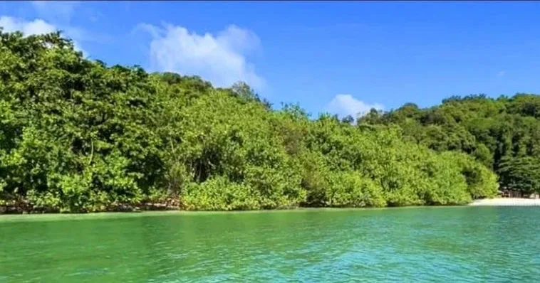Beachfront Land on Koh Naka Yai Island, Phuket – 18 Rai — photo 3