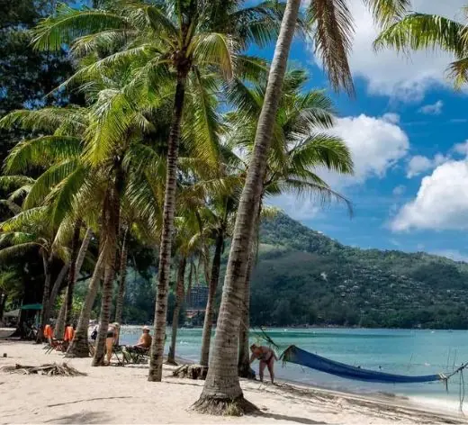 Palm trees and a hammock on the beach at Kamala, Phuket